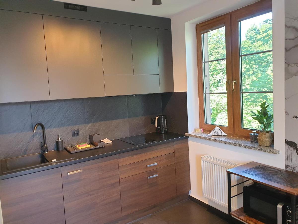Appartement Grafitowy à Karpacz Extérieur photo